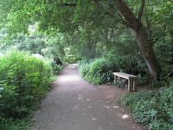 photo of Potomac Heritage Trail between Great Falls and River Bend
