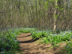 photo of Potomac Heritage Trail between Great Falls and River Bend