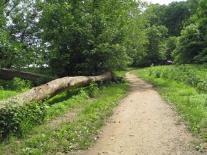 photo of Potomac Heritage Trail between Great Falls and River Bend