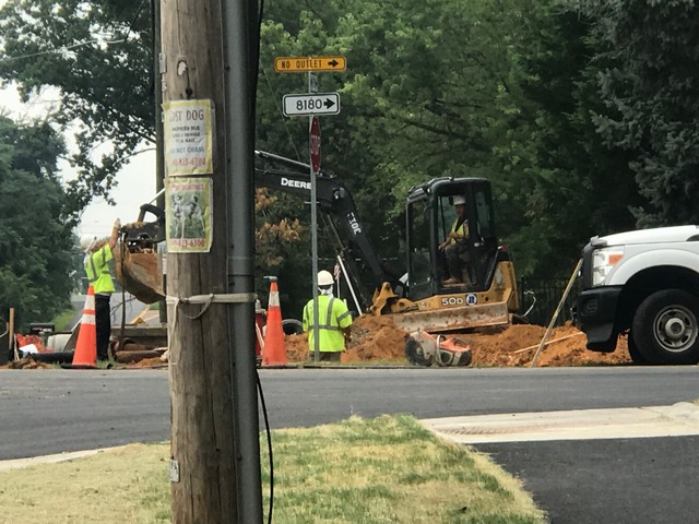 photo of 2019 trail work