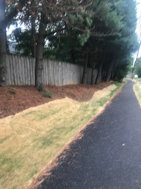 photo of 2019 trail work